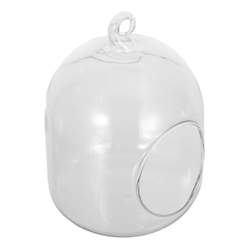 KONTONTY DIY Moos Terrarium Glasflasche Pflegeleichter Hydrokultur Planter für Bürodekoration Vielseitiger Mini Mikrolandschafts Glasbehälter für Sukkulenten und von KONTONTY