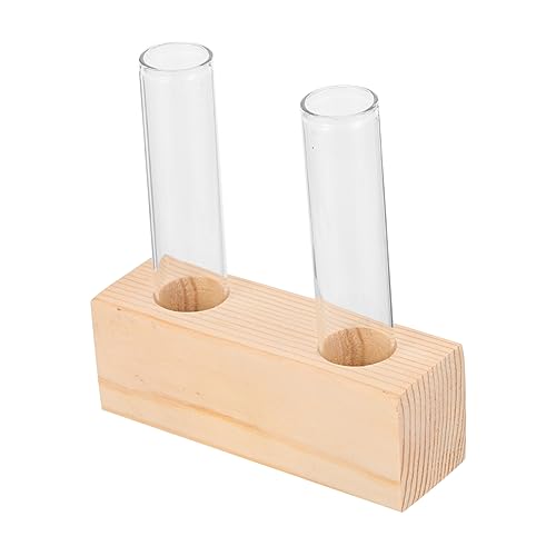 KONTONTY Kleiner Pflanzen-Terrarium-Blumentopf in Reagenzglasform für die Pflanzendekoration im Büro zu Hause oder auf dem Schreibtisch KONTONTY Kleiner Pflanzen-Terrarium-Blumentopf in Reagenzglasform für die Pflanzendekoration im Büro zu Hause oder auf dem Schreibtisch von KONTONTY