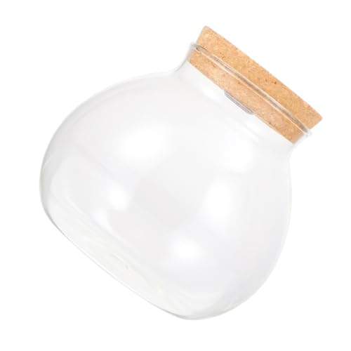 KONTONTY Hydroponische Desktop Pflanzenvase mit LED Licht Korkdeckel Terrarium Glasstation Luftdichtes Rundes Pflanzengefäß für Pflanzenliebhaber Kompakte Grüne Dekoration für Büro und KONTONTY Hydroponische Desktop Pflanzenvase mit LED Licht Korkdeckel Terrarium Glasstation Luftdichtes Rundes Pflanzengefäß für Pflanzenliebhaber Kompakte Grüne Dekoration für Büro und von KONTONTY