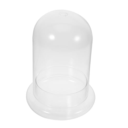 KONTONTY Micro-Landschaftsvase Terrarientopf Pflanzenbehälter aus Glas für Terrarien Mikroglas-Pflanzenflasche Mikro-Landschaftsglasflasche Glas mit hohem Borosilikatgehalt Transparent KONTONTY Micro-Landschaftsvase Terrarientopf Pflanzenbehälter aus Glas für Terrarien Mikroglas-Pflanzenflasche Mikro-Landschaftsglasflasche Glas mit hohem Borosilikatgehalt Transparent von KONTONTY