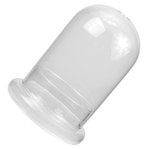 KONTONTY Moos-Öko-Flasche Pflanzenbehälter aus Moos Vase Flaschen Anlage Mikro-Landschaftsflasche Terrarium Halter kreative Landschaftsflasche Moos Pflanzer Pot Glas Transparent KONTONTY Moos-Öko-Flasche Pflanzenbehälter aus Moos Vase Flaschen Anlage Mikro-Landschaftsflasche Terrarium Halter kreative Landschaftsflasche Moos Pflanzer Pot Glas Transparent von KONTONTY
