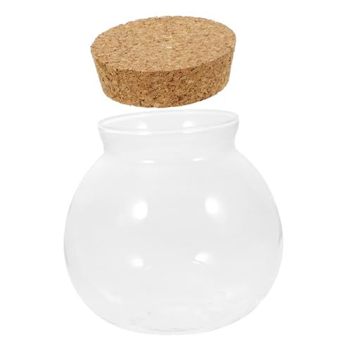 KONTONTY Öko-Flaschenornamente lagercontainer vorratsbehälter bürodekoration Terrarium unterschrank glasgefäß Mikro-Landschaftsflasche saftig Vase Landschaftsbehälter Terrarienglas Eiche von KONTONTY