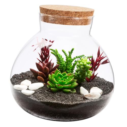 KONTONTY Ökologische Mikrolandschaftsflasche Gießen Terrarium-luftpflanzenpflanzer Ökologische Flasche Selber Machen Blumenzwiebel Pflanzer Luftpflanzenhalter Untersetzer Für Pflanzen Kork KONTONTY Ökologische Mikrolandschaftsflasche Gießen Terrarium-luftpflanzenpflanzer Ökologische Flasche Selber Machen Blumenzwiebel Pflanzer Luftpflanzenhalter Untersetzer Für Pflanzen Kork von KONTONTY