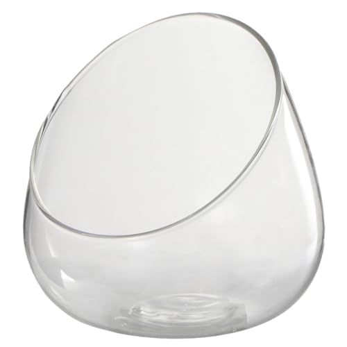 KONTONTY Ökologisches Glasflaschen Terrarium Schräg Landschaftsbehälter für Moospflanzen Wohn und Küchen Deko Vielseitiges Pflanzgefäß Transparent von KONTONTY
