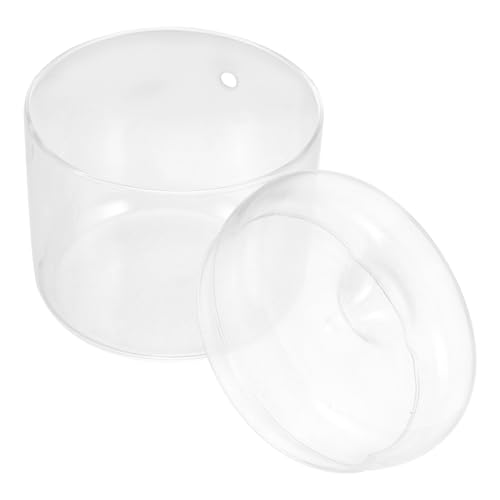 KONTONTY Pflanzenterrarium DIY Glasflasche Leere Ökologische Flasche für Mikrolandschaften Tischdeko und Anzuchtstation für Sukkulenten Langlebig von KONTONTY