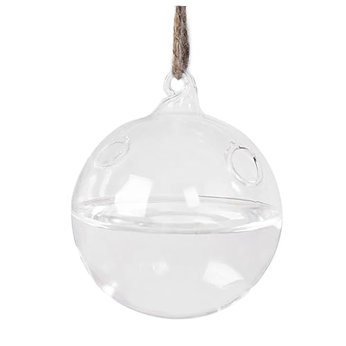 KONTONTY Transparente Hängende Glasvase mit Zwei Löchern Hängender Pflanzer und Terrarium für Wohnraumdekoration Einfacher DIY Garten für Schlafzimmer und Büro KONTONTY Transparente Hängende Glasvase mit Zwei Löchern Hängender Pflanzer und Terrarium für Wohnraumdekoration Einfacher DIY Garten für Schlafzimmer und Büro von KONTONTY