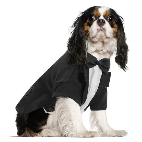 KONVINIT Hunde Hochzeit Anzug - Schwarz Hund Smoking Hund Hundeanzug Smoking Hemd mit Fliege Haustierkostüm/Kleid/Hemd für Hochzeit Halloween Geburtstag Kostüme,schwarz L von KONVINIT