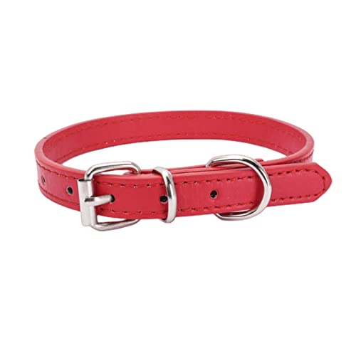 KOOBS Hundegeschirr 5 Ppc Legierung Schnallen Hundekragen Katzenkragen Größe Verstellbarer Kleiner Und Mittelgroßer Hundepapierkragen Hundeversorgung-Red,30 1.0Cm von KOOBS