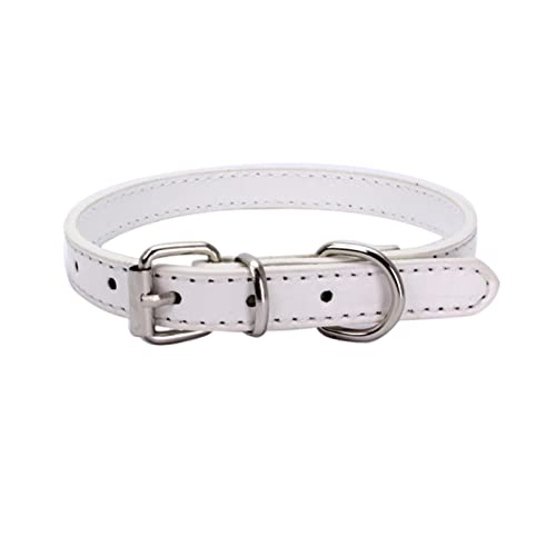 KOOBS Hundegeschirr 5 Ppc Legierung Schnallen Hundekragen Katzenkragen Größe Verstellbarer Kleiner Und Mittelgroßer Hundepapierkragen Hundeversorgung-White,37 1.3Cm von KOOBS