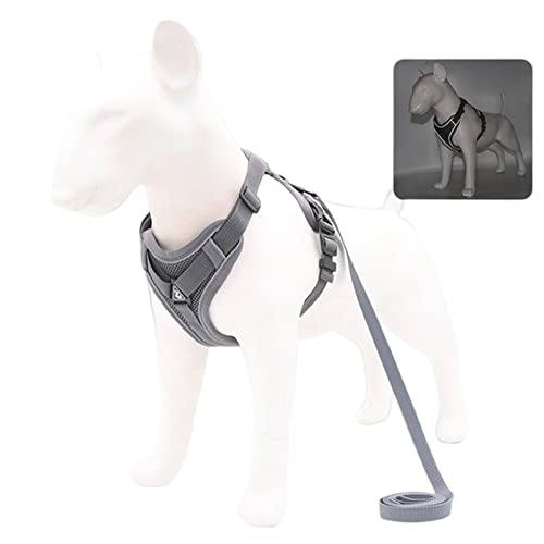 KOOBS Hundegeschirr Hundekabelbaum Und Leine Set Einstellbares Haustierkabelbaumweste Für Kleine Hunde Katzen Reflektierende Mesh Hunde Brustkabelbaum-Gray,S 2-4 Kg von KOOBS