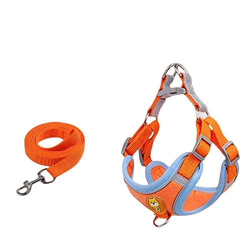 KOOBS Hundegeschirr Weste Typ Hunde Leine Kleine Hundebrustgurt Welpe Welpe Walking Hunde Leine Hundekette-M,Q KOOBS Hundegeschirr Weste Typ Hunde Leine Kleine Hundebrustgurt Welpe Welpe Walking Hunde Leine Hundekette-M,Q von KOOBS