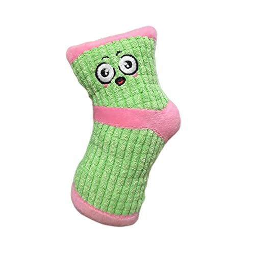 KOOBS Hundespielzeug 2 Stücke Spaß Interaktives Hund Spielzeug Für Kleine Bis Mittlere Hunde Socken Slipper Quietschen Spielzeug Welpe Kauen Spielzeughundespielzeug-Green von KOOBS