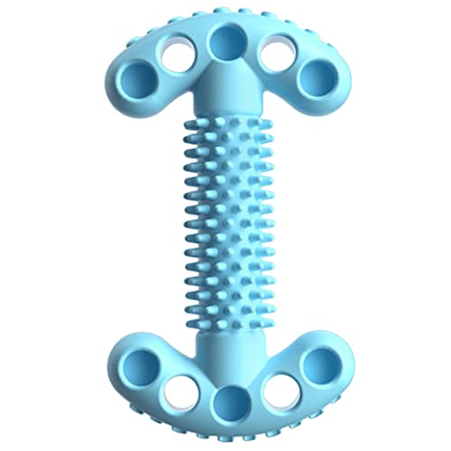 KOOBS Hundespielzeug 2P Haustierhundknochenform Molar Stick Spielzeug Kleiner Hunde Welpen Reinigen Zähne Anti-Bite-Spielzeugzahnbürste Interaktives Spielzeug-Blue KOOBS Hundespielzeug 2P Haustierhundknochenform Molar Stick Spielzeug Kleiner Hunde Welpen Reinigen Zähne Anti-Bite-Spielzeugzahnbürste Interaktives Spielzeug-Blue von KOOBS