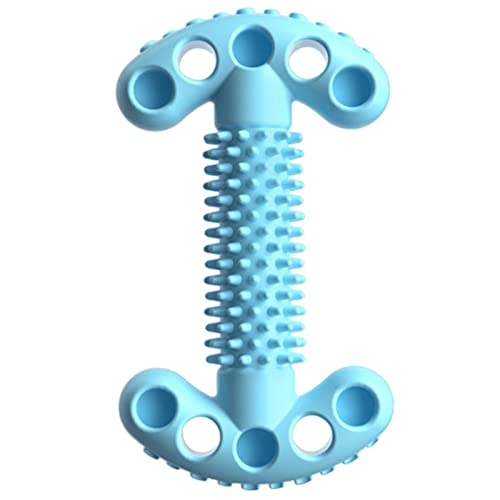 KOOBS Hundespielzeug 2P Haustierhundknochenform Molar Stick Spielzeug Kleiner Hunde Welpen Reinigen Zähne Anti-Bite-Spielzeugzahnbürste Interaktives Spielzeug-Blue von KOOBS