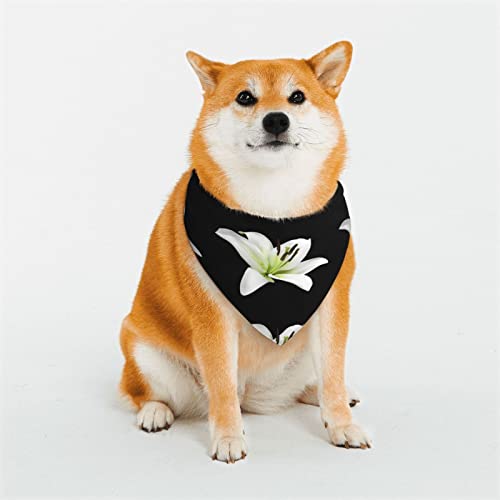Beautiful-Liliesprinting Hundehalstuch, weich und atmungsaktiv, Dreieckstuch für große Hunde, mittelgroße und kleine Hunde, Katzen von KOOLR