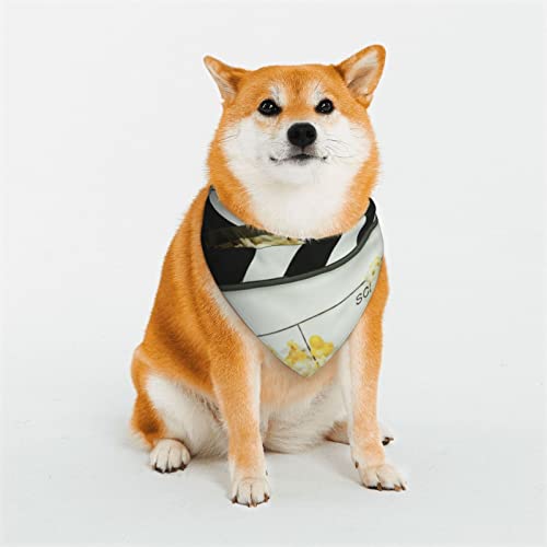Cinema Movie Klappbrett und Popcorndruck Hundehalstücher Weich und Atmungsaktiv Haustier Dreieck Schal Mehrere Größen für Große Hunde Mittlere und Kleine Hunde Katzen Cinema Movie Klappbrett und Popcorndruck Hundehalstücher Weich und Atmungsaktiv Haustier Dreieck Schal Mehrere Größen für Große Hunde Mittlere und Kleine Hunde Katzen von KOOLR