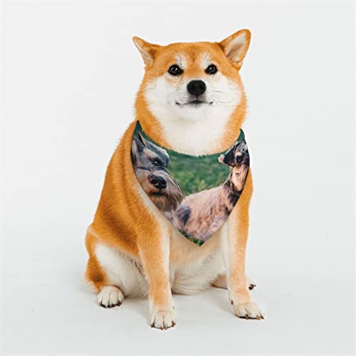 Erwachsene Schnauzer Dogsprinting Hund Bandanas Weich und Atmungsaktiv Haustier Dreieck Schal Mehrere Größen für Große Hunde Mittlere und Kleine Hunde Katzen Erwachsene Schnauzer Dogsprinting Hund Bandanas Weich und Atmungsaktiv Haustier Dreieck Schal Mehrere Größen für Große Hunde Mittlere und Kleine Hunde Katzen von KOOLR