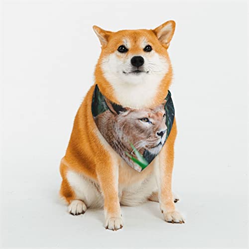 Lion Wildlifeprinting Hundehalstuch, weich und atmungsaktiv, Dreieckstuch für große Hunde, mittelgroße und kleine Hunde, Katzen Lion Wildlifeprinting Hundehalstuch, weich und atmungsaktiv, Dreieckstuch für große Hunde, mittelgroße und kleine Hunde, Katzen von KOOLR