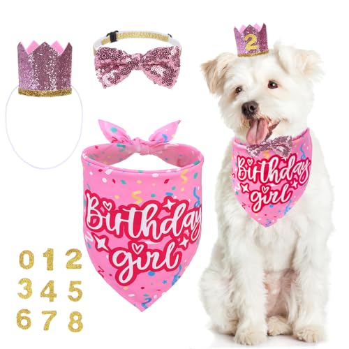 KOOLTAIL Hunde-Geburtstagsparty-Zubehör: Bandana mit Hut, verstellbares Halsband mit Fliege, verschiedene Größen, Rosa, Größe L KOOLTAIL Hunde-Geburtstagsparty-Zubehör: Bandana mit Hut, verstellbares Halsband mit Fliege, verschiedene Größen, Rosa, Größe L von KOOLTAIL