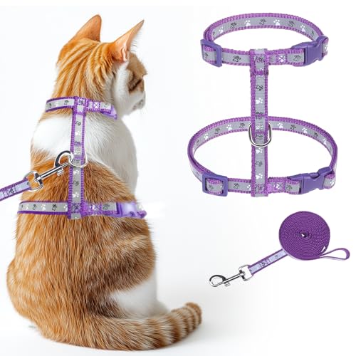 KOOLTAIL Katzengeschirr mit Leine, leicht, ausbruchsicher, für Spaziergänge, Reisen, einfache Kontrolle, Outdoor, verstellbar, H-förmig, niedliches Kätzchen-Geschirr für kleine, mittelgroße und große KOOLTAIL Katzengeschirr mit Leine, leicht, ausbruchsicher, für Spaziergänge, Reisen, einfache Kontrolle, Outdoor, verstellbar, H-förmig, niedliches Kätzchen-Geschirr für kleine, mittelgroße und große von KOOLTAIL