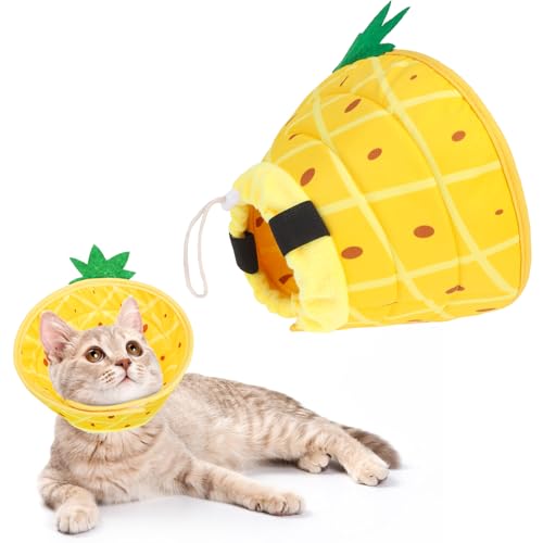KOOLTAIL Katzenkegel-Halsband, verstellbar, weich, bequem, Katzenerholungshalsband, um Lecken zu stoppen, faltbarer Donut-Wasserabweisender Haustierkegel für kleine große Katzen Kätzchen nach von KOOLTAIL