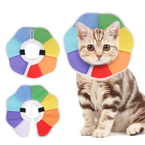 KOOLTAIL Katzenkegel-Halsband, verstellbar, weich, bequem, zur Erholung von Katzen, um das Lecken zu stoppen, faltbarer Donut-Wasserabweisender Haustierkegel für kleine große Katzen, Kätzchen nach von KOOLTAIL