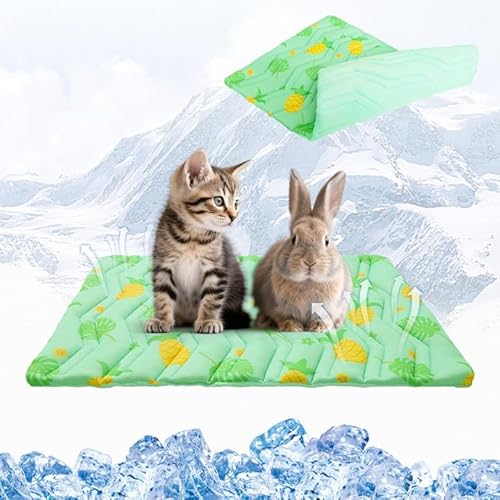 KOOLTAIL Kühlmatte für Hunde, verbessertes zweiseitiges Kühlkissen für Hunde, Katzen, Welpen, weiche Haustier-Schlafdecke, hält im Sommer kühl mit niedlichem Obstmuster, waschbar, wasserdicht, für von KOOLTAIL