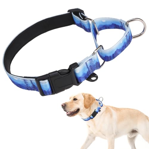 KOOLTAIL Martingale-Halsband für Hunde, kein Ziehen, langlebig, bequem, Neopren, gepolstert, Welpenhalsband zum Trainieren, verstellbar, robust, für kleine, mittelgroße und große Hunde, Blau, Größe M von KOOLTAIL