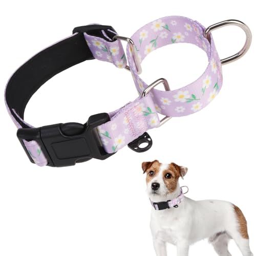 KOOLTAIL Martingale-Halsband für Hunde, kein Ziehen, langlebig, bequem, Neopren, gepolstert, Welpenhalsband zum Trainieren, verstellbar, robust, für kleine, mittelgroße und große Hunde, Lila, M von KOOLTAIL