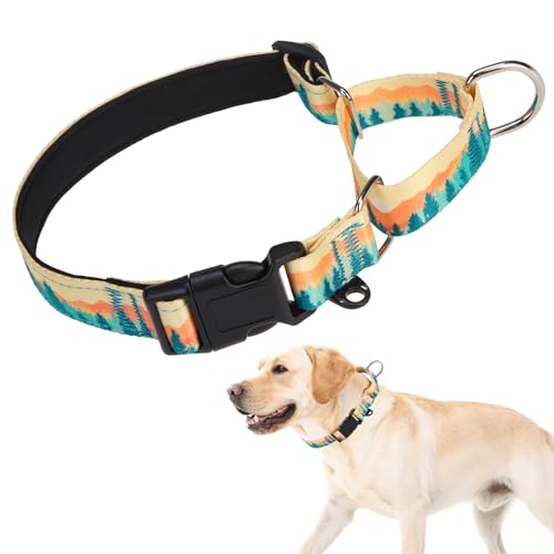 KOOLTAIL Martingale-Halsband für Hunde, kein Ziehen, langlebig, bequem, Neopren, gepolstert, Welpenhalsband zum Trainieren, verstellbar, robust, für kleine, mittelgroße und große Hunde, Orange, Größe von KOOLTAIL