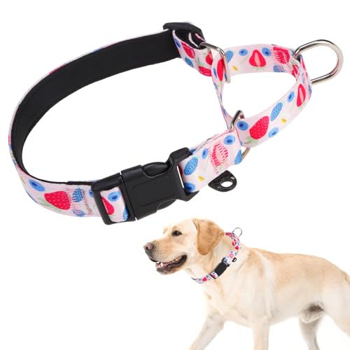 KOOLTAIL Martingale-Halsband für Hunde, kein Ziehen, langlebig, bequem, Neopren, gepolstert, Welpenhalsband zum Trainieren, verstellbar, robust, für kleine, mittelgroße und große Hunde, Rosa, Größe M von KOOLTAIL