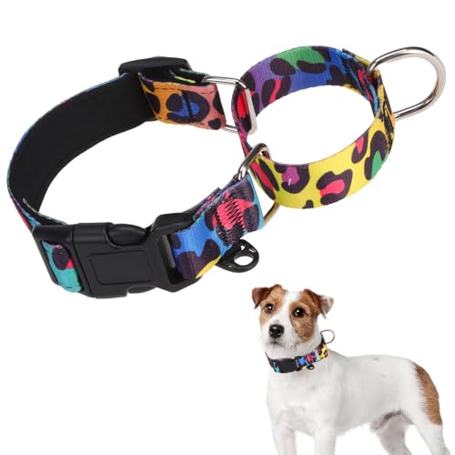 KOOLTAIL Martingale-Halsband für Hunde, kein Ziehen, langlebig, bequem, Neopren, gepolstert, Welpenhalsband zum Trainieren, verstellbar, robust, für kleine, mittelgroße und große Hunde von KOOLTAIL
