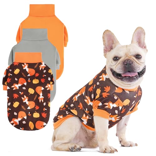 KOOLTAIL Pullover für kleine Hunde, 3er-Pack, Samt, flauschig, dick, superweich, warm, Winterpullover, Rollkragenpullover für kaltes Wetter, Fleece, Haustierkleidung, Mäntel, Welpen, Katzen, Mädchen KOOLTAIL Pullover für kleine Hunde, 3er-Pack, Samt, flauschig, dick, superweich, warm, Winterpullover, Rollkragenpullover für kaltes Wetter, Fleece, Haustierkleidung, Mäntel, Welpen, Katzen, Mädchen von KOOLTAIL