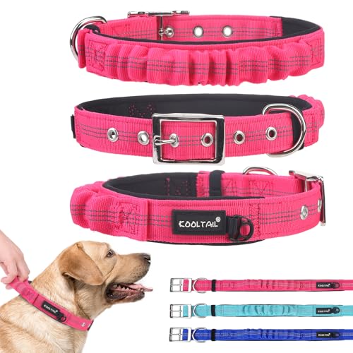 KOOLTAIL Strapazierfähiges Hundehalsband mit Griff für große Hunde, ballistisches Nylon-Halsband für Trainingskontrolle, weich gepolstertes, dickes, breites, reflektierendes Hundehalsband mit KOOLTAIL Strapazierfähiges Hundehalsband mit Griff für große Hunde, ballistisches Nylon-Halsband für Trainingskontrolle, weich gepolstertes, dickes, breites, reflektierendes Hundehalsband mit von KOOLTAIL