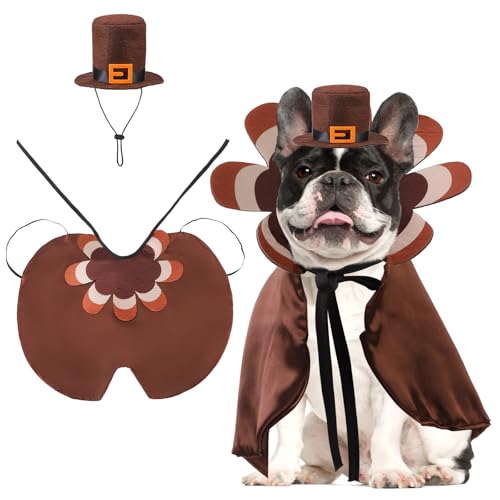 KOOLTAIL Thanksgiving-Hundekostüm von KOOLTAIL