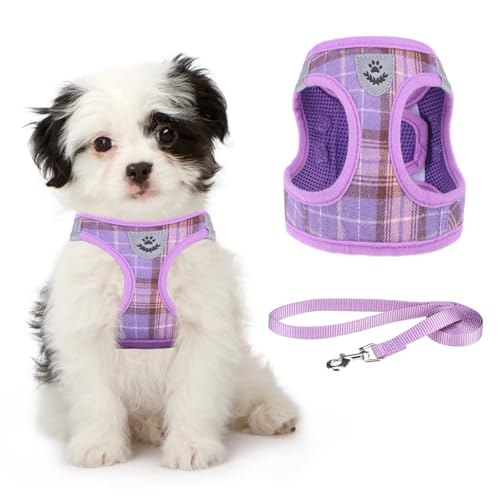 KOOLTAIL Weiches Mesh Hundegeschirr mit Leine Verstellbare Bequeme gepolsterte reflektierende Weste für Welpen Kleine Rasse von KOOLTAIL