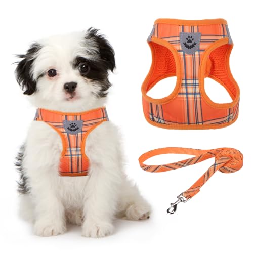 KOOLTAIL Weiches Mesh Hundegeschirr mit Leine Verstellbare Bequeme gepolsterte reflektierende Weste für Welpen Kleine Rasse KOOLTAIL Weiches Mesh Hundegeschirr mit Leine Verstellbare Bequeme gepolsterte reflektierende Weste für Welpen Kleine Rasse von KOOLTAIL