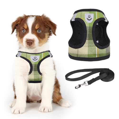 Weiches Netz-Plaid Welpengeschirr ¨C Kleines Hundegeschirr und Leine-Set, verstellbares und bequemes Geschirr mit reflektierendem Design f¨¹r Welpen und kleine Rassen, f¨¹r Outdoor-Spazierg?nge von KOOLTAIL