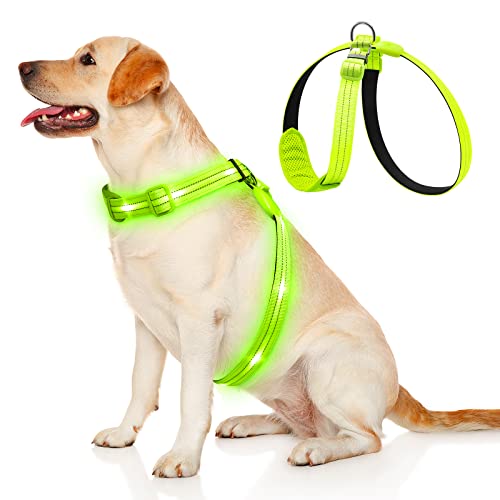 KOSKILL LED Hundegeschirr Wiederaufladbares Beleuchtetes Hundegeschirr Leuchtet Im Dunkeln LED Hundeweste Reflektierend Hundelichter für Nachtspaziergänge Grün M von KOSKILL