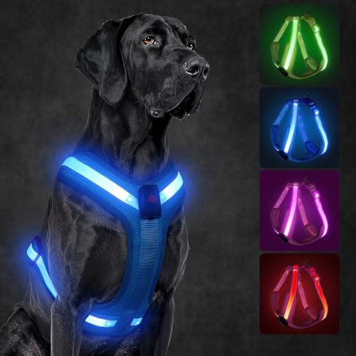 KOSKILL LED Hundegeschirr Wiederaufladbares Beleuchtetes Hundegeschirr Leuchtet Im Dunkeln LED Hundeweste Reflektierend Hundelichter für Nachtspaziergänge (Blau, M) von KOSKILL