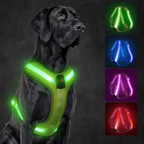 KOSKILL LED Hundegeschirr Wiederaufladbares Beleuchtetes Hundegeschirr Leuchtet Im Dunkeln LED Hundeweste Reflektierend Hundelichter für Nachtspaziergänge (Grün, L) von KOSKILL