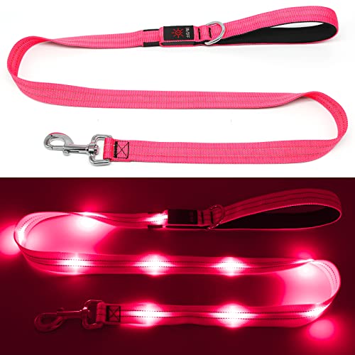 KOSKILL 1,2 m LED Hundeleine, USB wiederaufladbare Beleuchtete Hundeleine Sicherheits für nächtliche Spaziergänge, reflektierende Nylonleinen mit gepolstertem Griff für mittelgroße und große Haustiere von KOSKILL