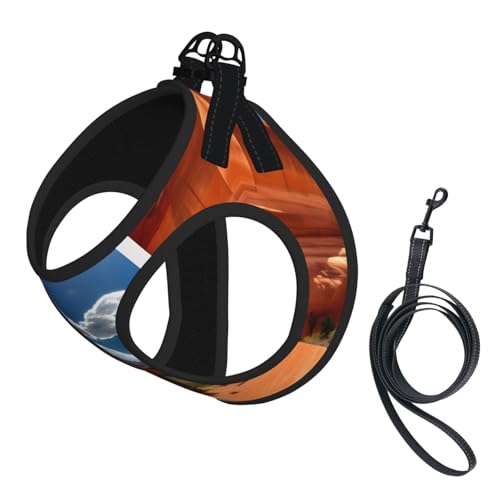 Arches National Park-Standard Hundegeschirr mit Leine, Set mit verdickter, gepolsterter Weste, für extra kleine/kleine, mittelgroße Hunde Arches National Park-Standard Hundegeschirr mit Leine, Set mit verdickter, gepolsterter Weste, für extra kleine/kleine, mittelgroße Hunde von KOUUIP