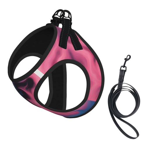 Hundegeschirr mit Leine, Set mit verdickter, gepolsterter Weste, für extra kleine/kleine, mittelgroße Hunde, Blau und Rosa Hundegeschirr mit Leine, Set mit verdickter, gepolsterter Weste, für extra kleine/kleine, mittelgroße Hunde, Blau und Rosa von KOUUIP