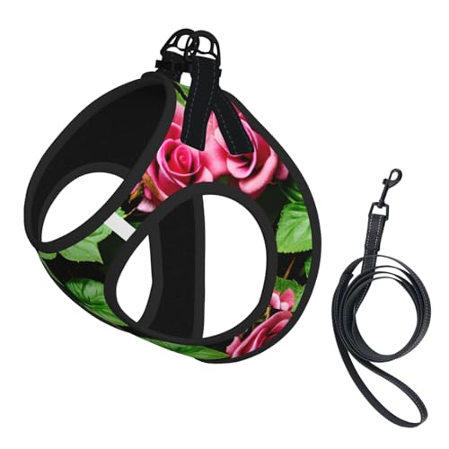 Hundegeschirr mit Leine, Set mit verdickter, gepolsterter Weste, für extra kleine/kleine, mittelgroße Hunde Hundegeschirr mit Leine, Set mit verdickter, gepolsterter Weste, für extra kleine/kleine, mittelgroße Hunde von KOUUIP
