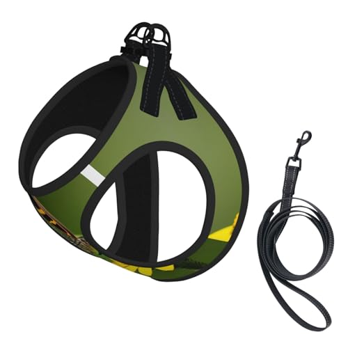 Hundegeschirr mit Leine und Leine mit leuchtendem Schmetterlingsmotiv, für extra kleine/kleine, mittelgroße Hunde Hundegeschirr mit Leine und Leine mit leuchtendem Schmetterlingsmotiv, für extra kleine/kleine, mittelgroße Hunde von KOUUIP