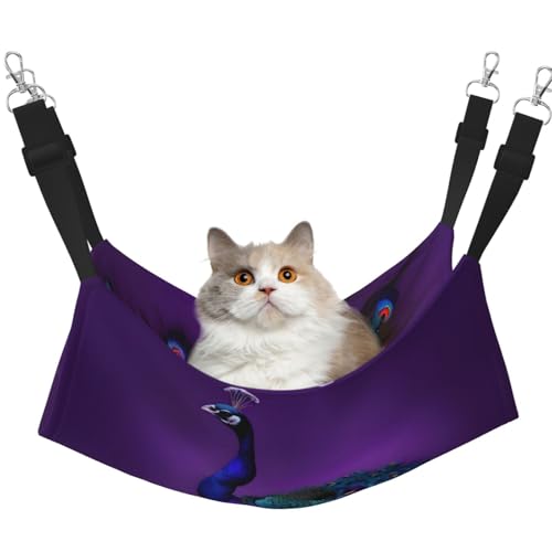 KOUUIP Katzenhängematte mit Pfauenmuster, zum Aufhängen von Käfigen, verstellbar, weiche Schlafhängematte für Katzen, Frettchen KOUUIP Katzenhängematte mit Pfauenmuster, zum Aufhängen von Käfigen, verstellbar, weiche Schlafhängematte für Katzen, Frettchen von KOUUIP
