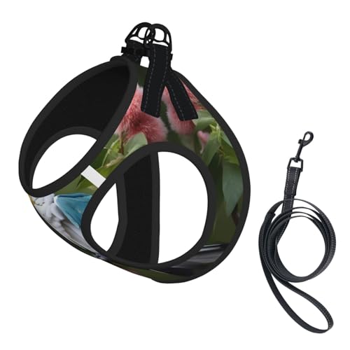 Schönes Hundegeschirr mit Leine und Kakadu-Motiv, mit verdickter, gepolsterter Weste, für extra kleine/kleine, mittelgroße Hunde Schönes Hundegeschirr mit Leine und Kakadu-Motiv, mit verdickter, gepolsterter Weste, für extra kleine/kleine, mittelgroße Hunde von KOUUIP