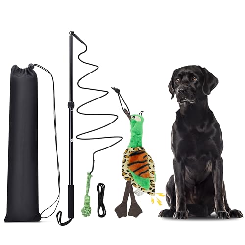 KOXXUD Reizangel Hunde Große Hunde, Profi Reizangel für Kleine Hunde Mittelgroßer Hund Martin Rütter für Ultimativen Spielspaß & Körperliche Auslastung (Seilbälle + Ente) KOXXUD Reizangel Hunde Große Hunde, Profi Reizangel für Kleine Hunde Mittelgroßer Hund Martin Rütter für Ultimativen Spielspaß & Körperliche Auslastung (Seilbälle + Ente) von KOXXUD