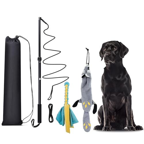 KOXXUD Reizangel Hunde Große Hunde, Profi Reizangel für Kleine Hunde Mittelgroßer Hund Martin Rütter für Ultimativen Spielspaß & Körperliche Auslastung (Seilstreifen + Biber) KOXXUD Reizangel Hunde Große Hunde, Profi Reizangel für Kleine Hunde Mittelgroßer Hund Martin Rütter für Ultimativen Spielspaß & Körperliche Auslastung (Seilstreifen + Biber) von KOXXUD